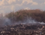Очевидцы: Свалка в Пугачеве продолжает гореть